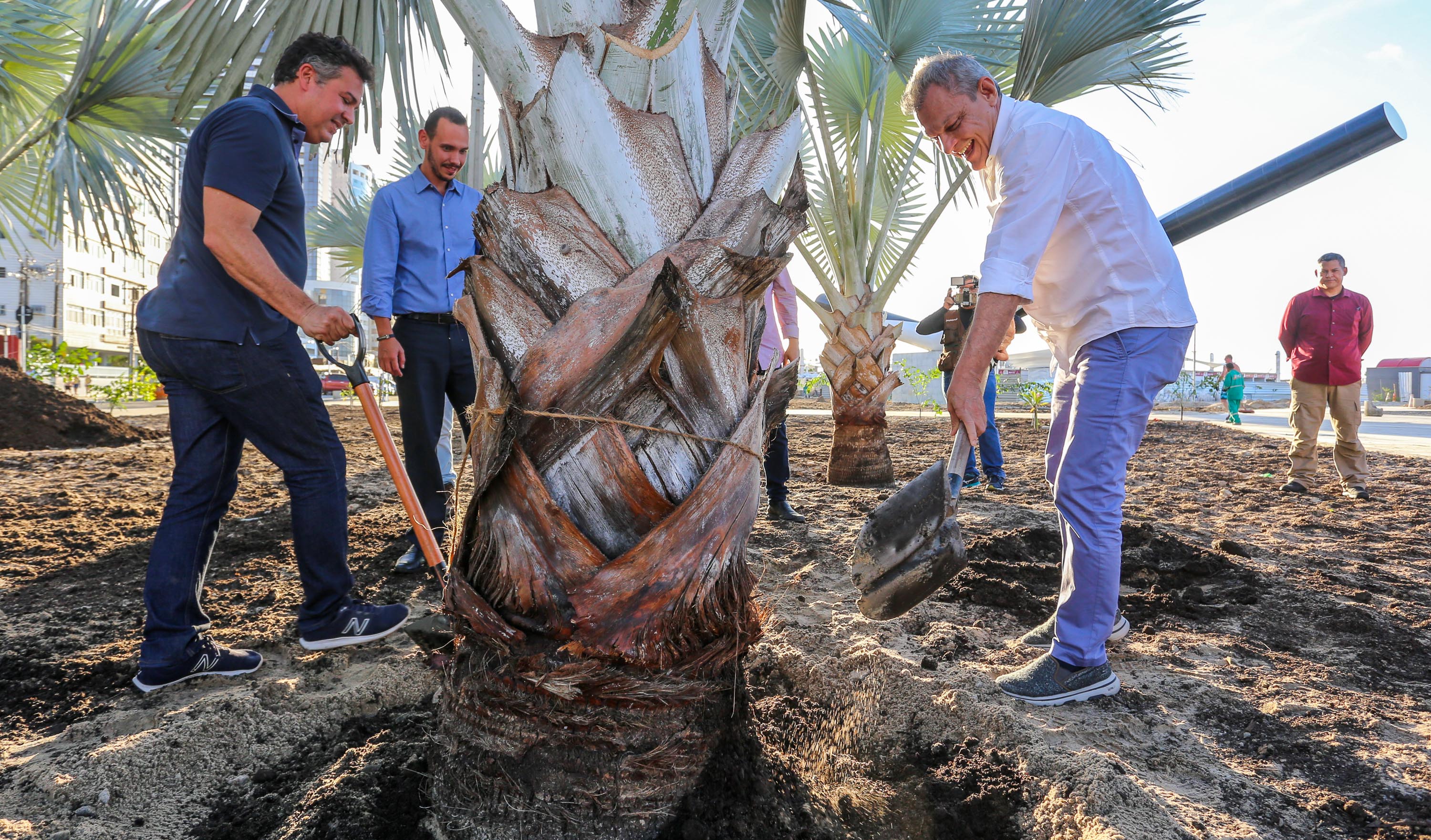 sarto plantando uma árvore